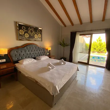 别墅 Tlos 3+1 Villa, Oezel Havuzlu, *